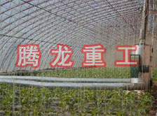 大棚花卉供暖設(shè)備、大棚卉采暖設(shè)備、大棚花卉取暖設(shè)備